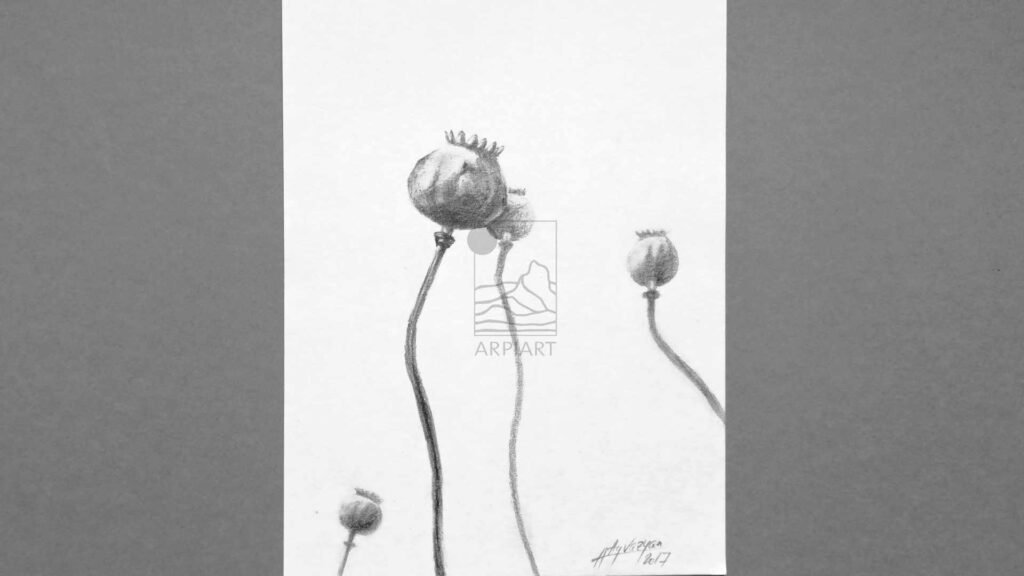 sketchbook_page_graphite_drawing_plants_arpiart.jpg
